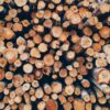 Birch plywood - Image 3